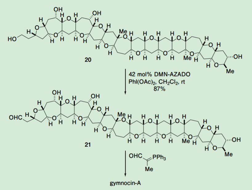 Scheme 5. Selective oxidation of the primary alcohol of tetraol (20) on the total synthesis of gymnocin-A