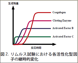 図2．リムルス試験における各活性化型因子の経時的変化