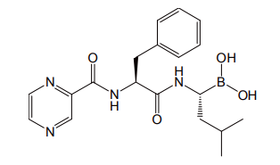 図 12 多発性骨髄腫治療薬ボルテゾミブ（商品名ベルケード）