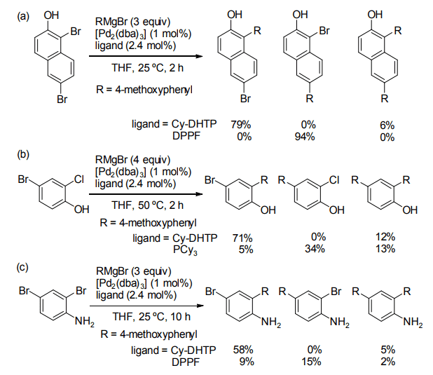 Scheme 3. Effect of the ligand in Kumada--Tamao--Corriu coupling.