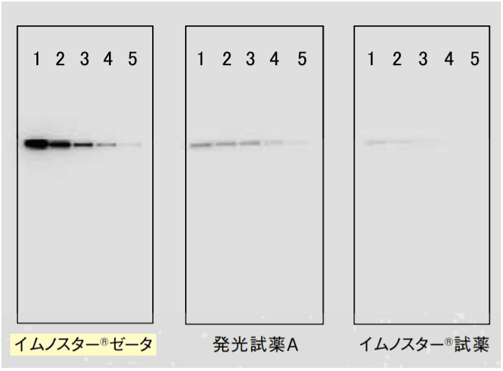 図2-①．露光時間10秒の結果