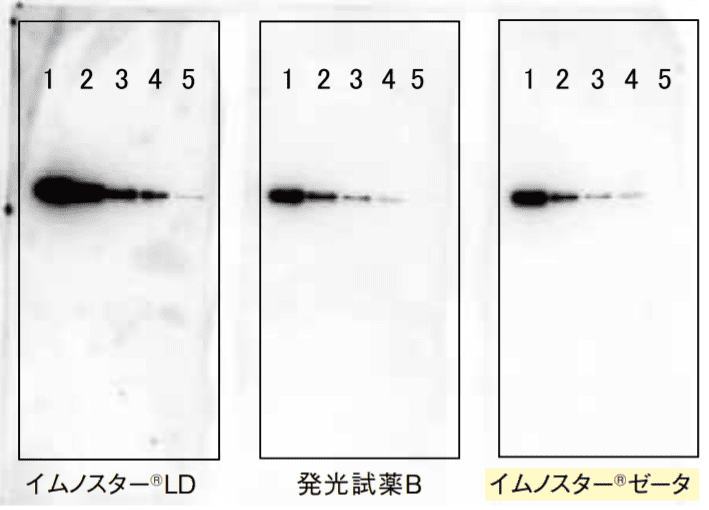 図3-②．露光時間5分の結果