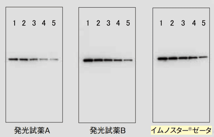 図4-①．初発の結果（露光時間8秒）