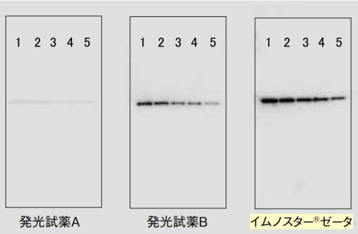 図4-②．1時間経過した後の結果（露光時間8秒）