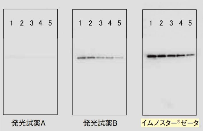 図4-③．2時間経過した後の結果（露光時間8秒）