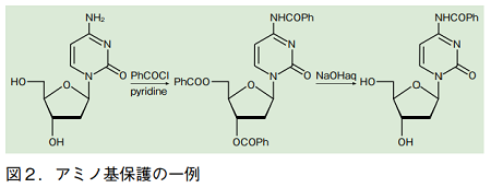 図2．アミノ基保護の一例