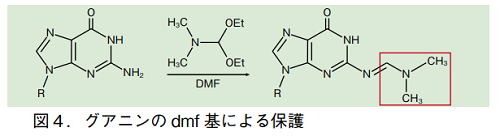 図4．グアニンの dmf 基による保護