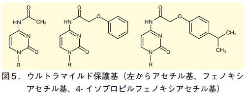 図5．ウルトラマイルド保護基（左からアセチル基、フェノキシアセチル基、4-イソプロピルフェノキシアセチル基）