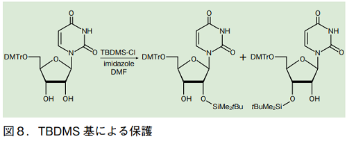 図8．TBDMS基による保護