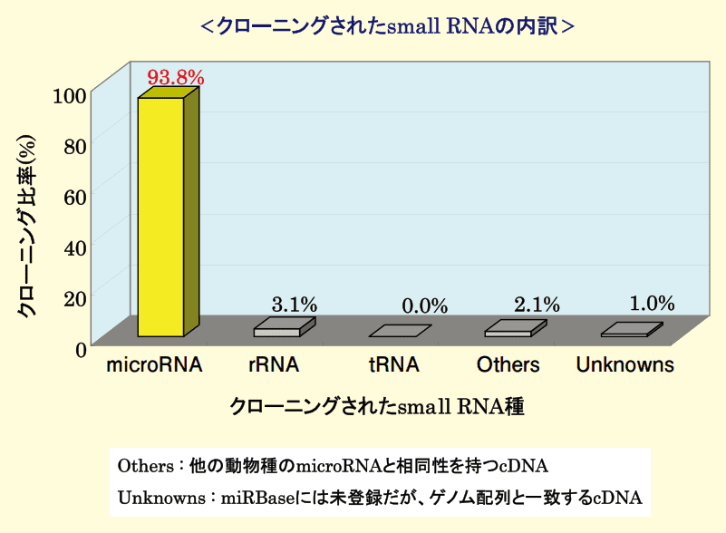 図4．microRNA Cloning Kit Wako によるAgo2免疫沈降 small RNA のクローニング