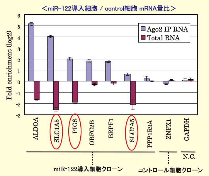 図6．miR-122の標的mRNA探索