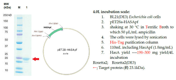 図2. SanCatの調整