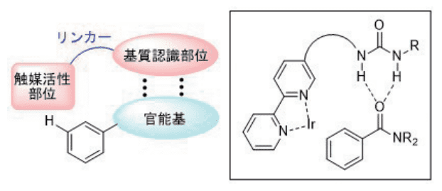 図３. 触媒配位子の設計