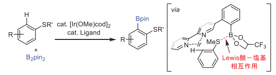 図７. Lewis酸－塩基相互作用を利用するオルト位選択的なC-Hボリル化