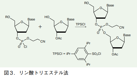 図3．リン酸トリエステル法