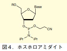 図4．ホスホロアミダイト