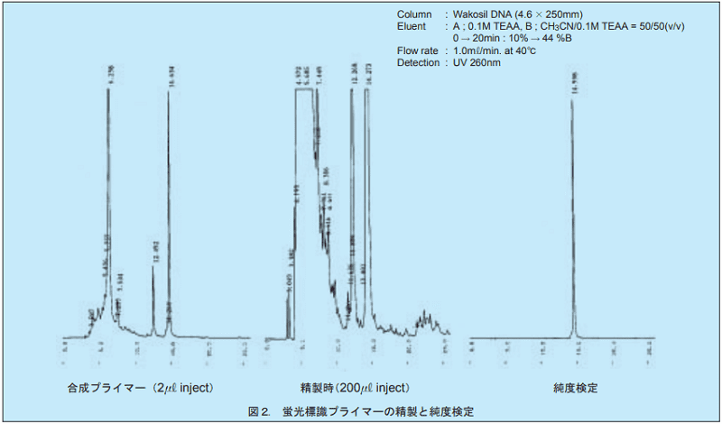 図2．蛍光標識プライマーの精製と純度検定