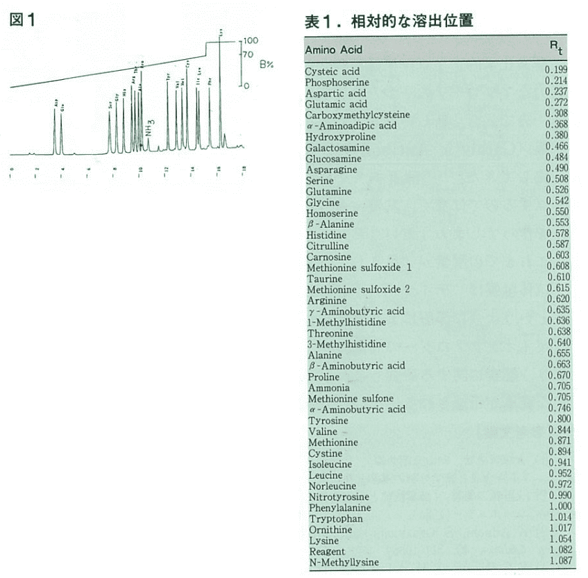 酸加水分解した試料の PTC 誘導化方法と標準アミノ酸のクロマトグラム, 相対的な溶出位置