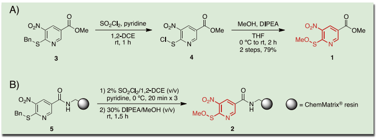 Scheme 1．