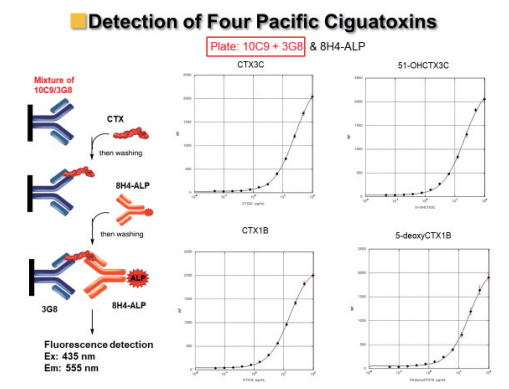図12. 4種のシガトキシンを一度に検出できる高感度サンドイッチ蛍光ELISA
