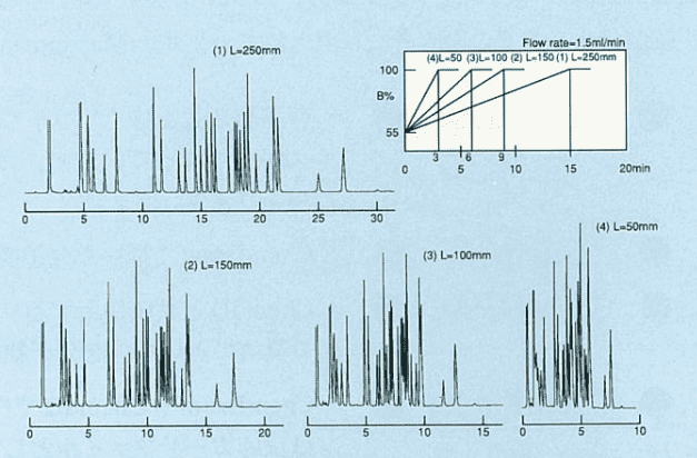 図1．カラムの長さとグラジエント条件の関係