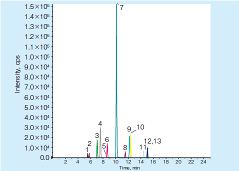 Fig. 2. PL-8-1 neg(13 sample)