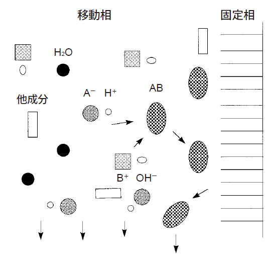 図2 逆相系イオン対法による分離の模式図