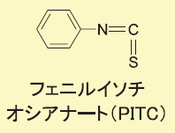 PITCの構造