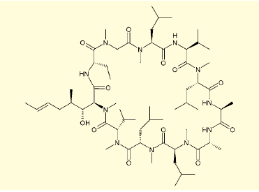 図4．シクロスポリン