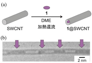 図2．(a) SWCNT内部空間への色素1導入, (b) 1@SWCNTのTEM画像