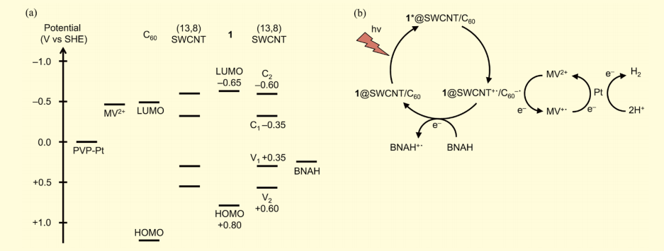 図6．(a) 色素内包型 SWCNT 光触媒のエネルギー準位図，(b) 色素内包型 SWCNT 光触媒による水素生成の反応機構