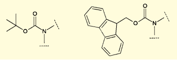 図1．Boc基(左)とFmoc基(右)