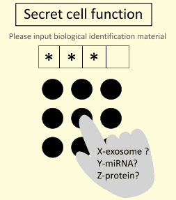 Fig 1．生体暗証番号の概念図