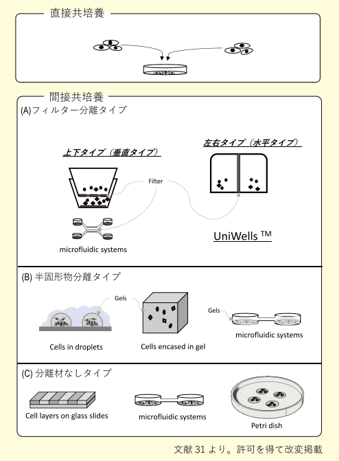 Fig 2．共培養方法の概略