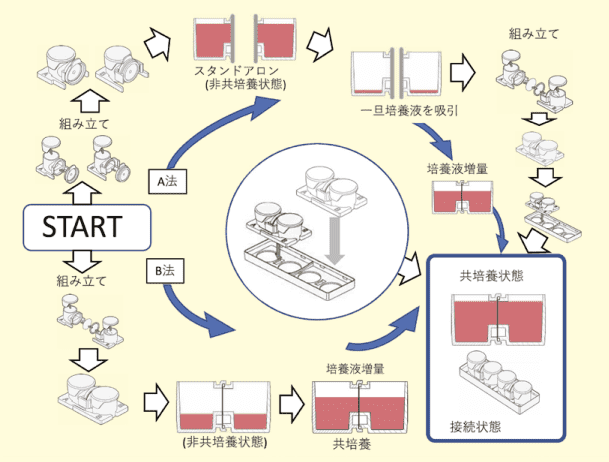 Fig 3．共培養容器の使い方