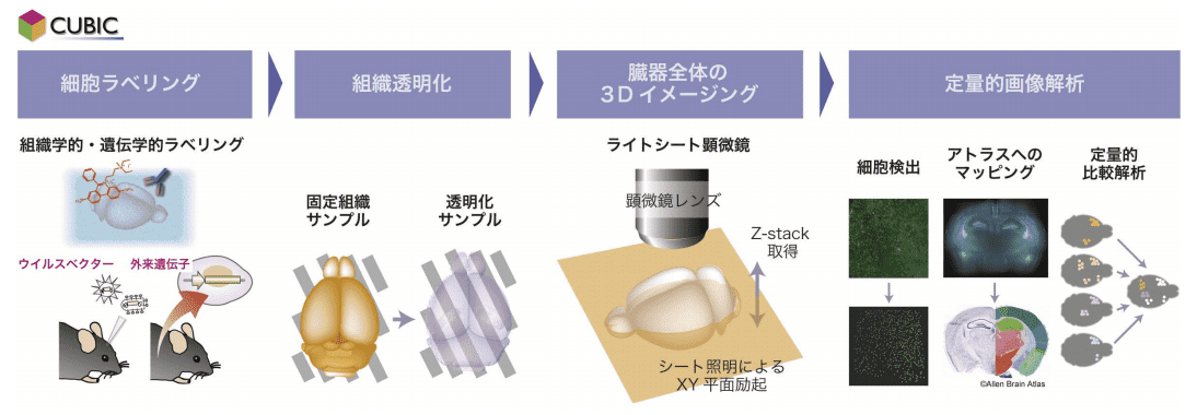 図１．CUBIC の技術コンセプト概略