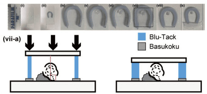 Figure 2.　サンプル準備工程