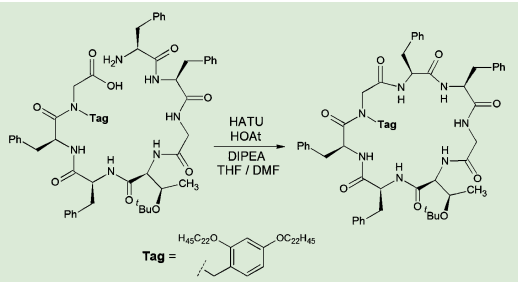 図５．脂溶性タグを活用した環化反応