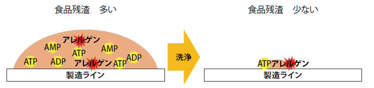 図1 食品残さ中のATP、ADP、AMPとアレルゲンの関係