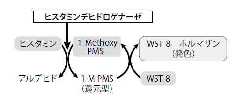 図1．酵素法によるヒスタミン測定の原理