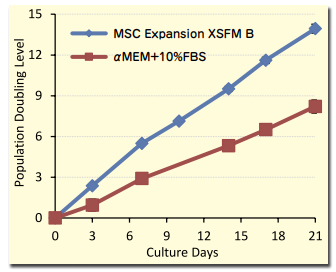 図１．MSC Expansion XSFM B で培養した細胞の増殖速度