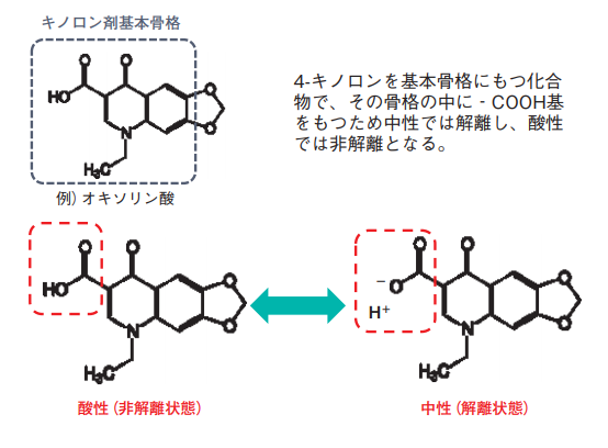 図4. キノロン剤