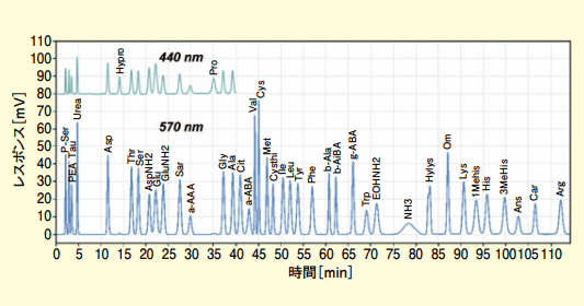 図６．生体液分析法