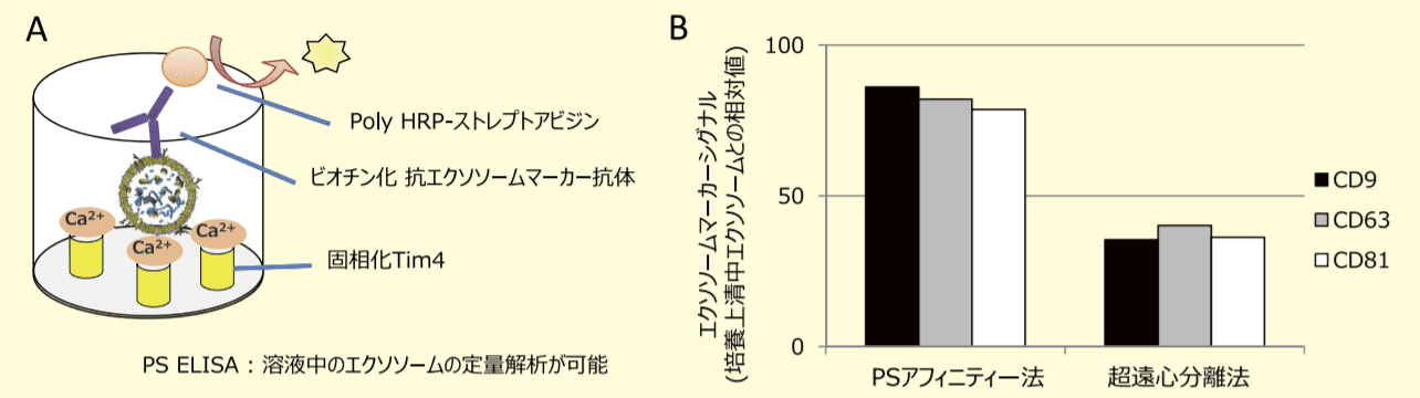 PS ELISA 法の原理, PS ELISA法により PS アフィニティー法、超遠心分離法それぞれの手法で精製した MSC 由来エクソソームを定量した結果。