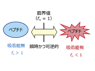 【連載】アミノ酸分析～新たな潮流～　「第 4 回　ペプチド、タンパク質定量のための新技術」