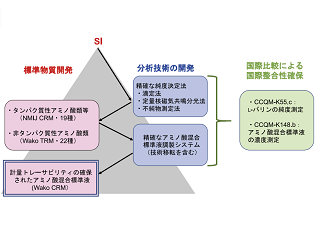 【連載】アミノ酸分析～新たな潮流～　「第 5 回　SI トレーサブルなアミノ酸測定に向けた取り組み」