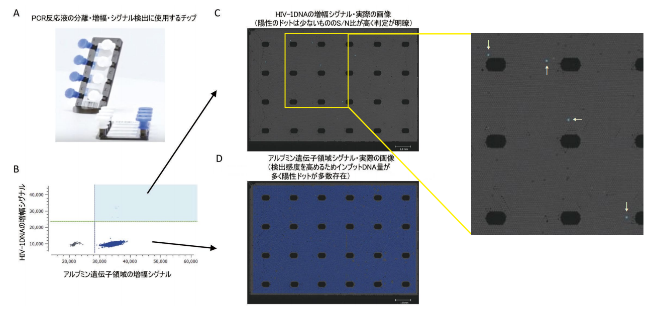 図２．Stilla 社 Naica System による HIV-1DNA 定量の１例