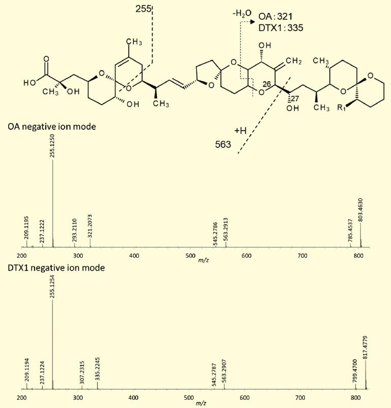 図２．陰イオンモードによるOA、DTX1 のQTOF MS/MS スペクトル