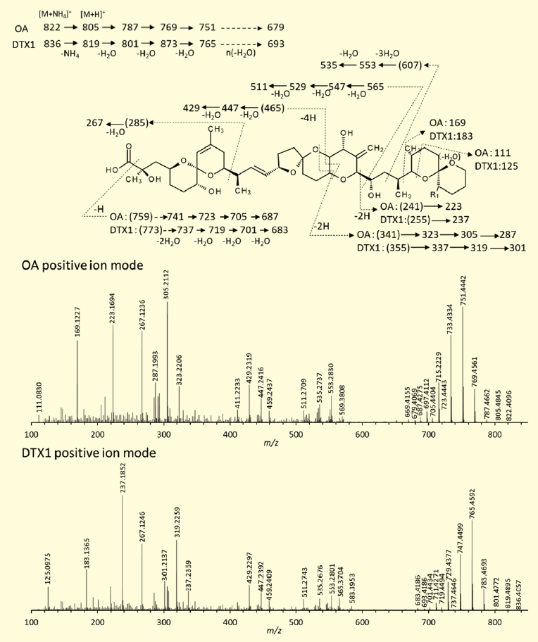 図４．陽イオンモードによるOA、DTX1 のQTOF MS/MS スペクトル