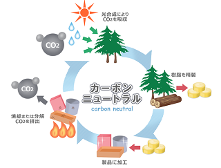 バイオマスプラスチック使用容器の採用案内